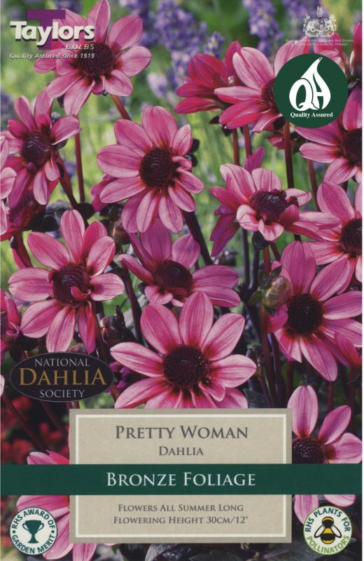 Taylors Bulbs Dahlia Pretty Woman (1 tuber)