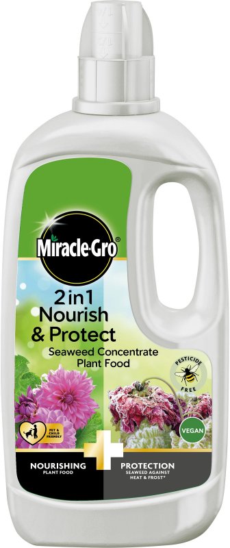 Miracle-Gro Miracle-Gro 2 in 1 Nourish & Protect Seaweed Concentrate Plant Food