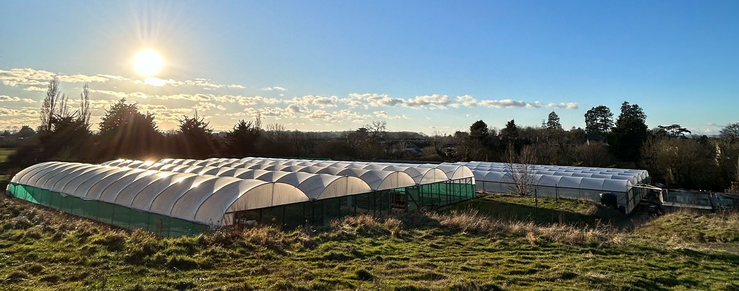 Chelsea 2026 - Update 2 