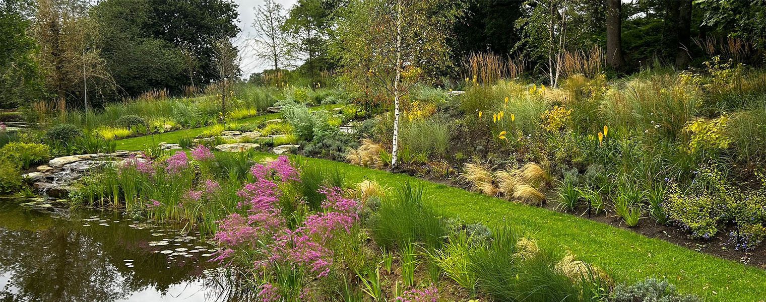 Plant sourcing for Landscapers 
