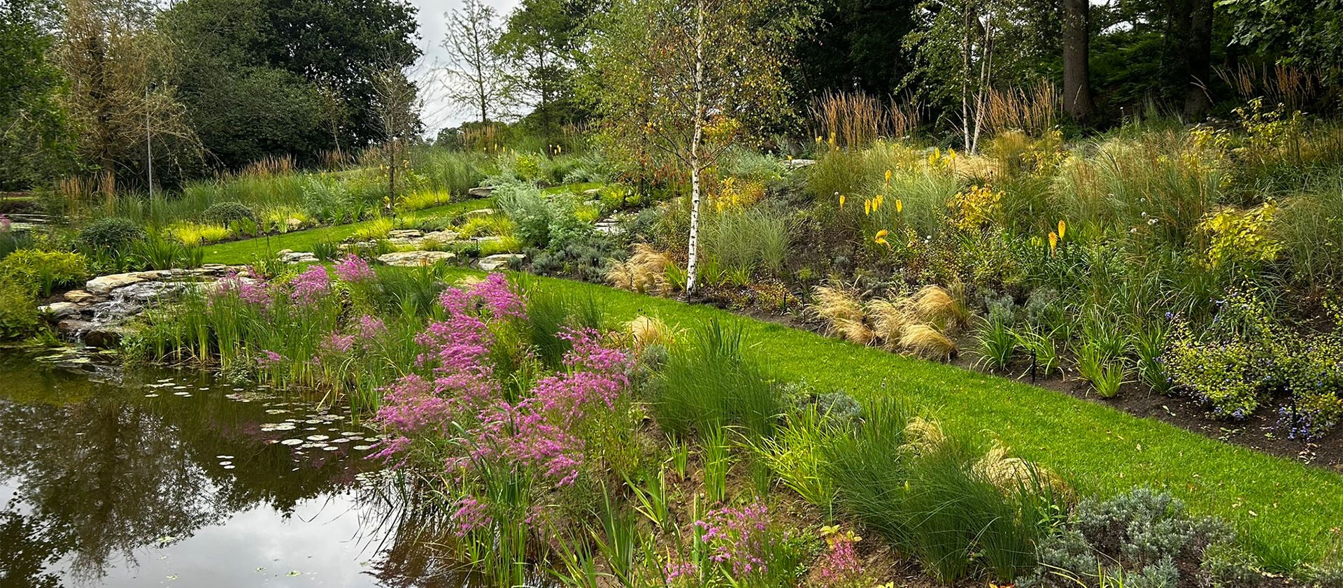 Plant Sourcing for Landscapers