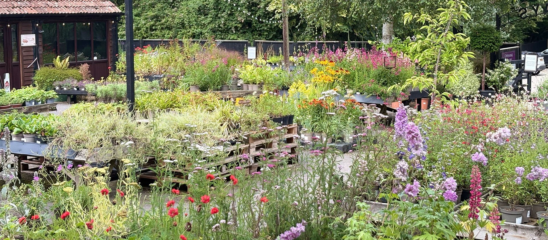 Plant Centre 