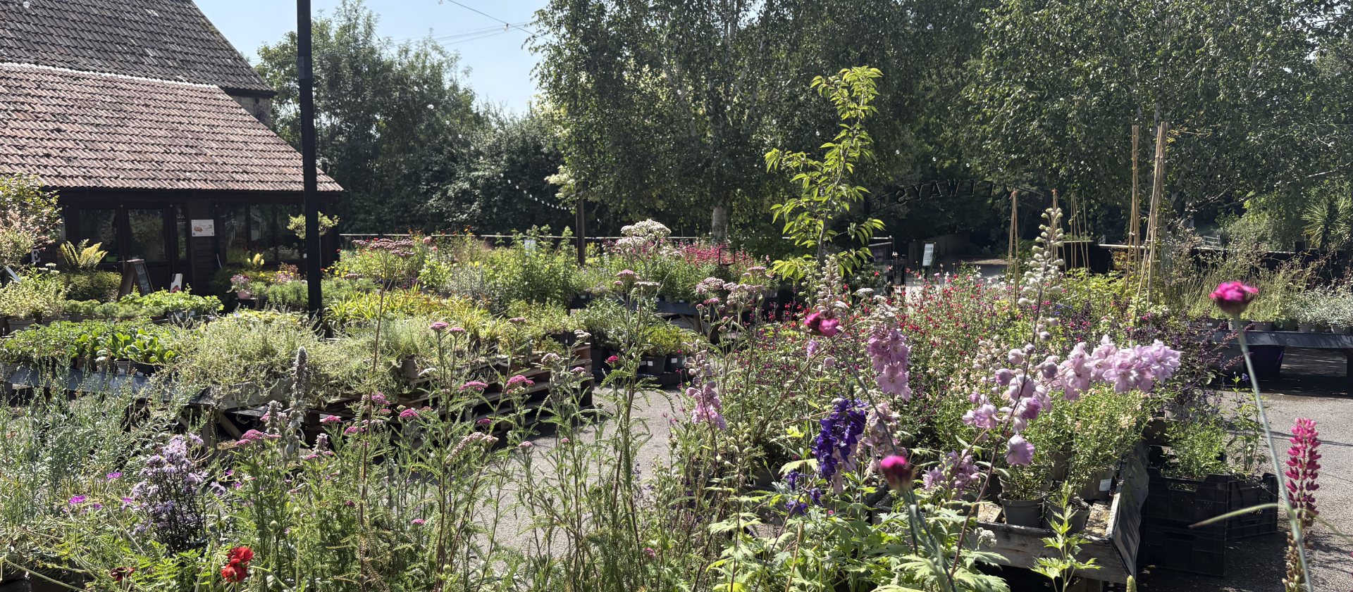 Plant Centre 