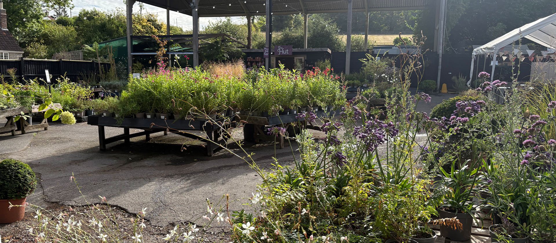 Plant Centre 