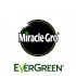 Miracle-Gro Evergreen