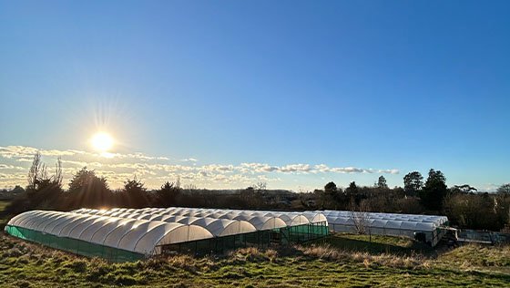 Chelsea 2026 - Update 2