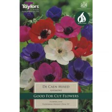 Anemone De Caen (15 bulbs)