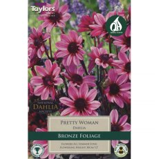 Dahlia Pretty Woman (1 tuber)