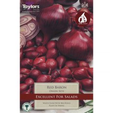 Onion Red Baron (50 sets)