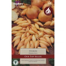 Onion Sturon (50 sets)