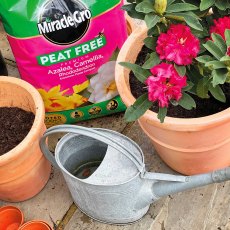 Miracle-Gro Peat Free Premium Azalea, Camellia & Rhododendron Compost