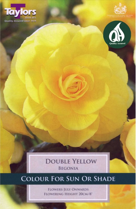 Taylors Bulbs Begonia Double Yellow (3 tubers)