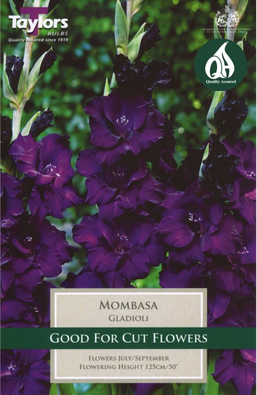 Taylors Bulbs Gladiolus Mombasa (10 corms)
