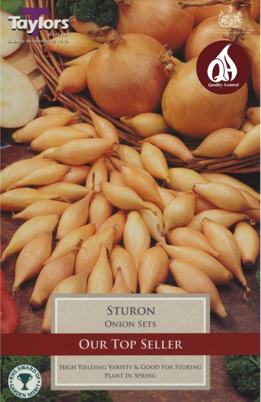 Taylors Bulbs Onion Sturon