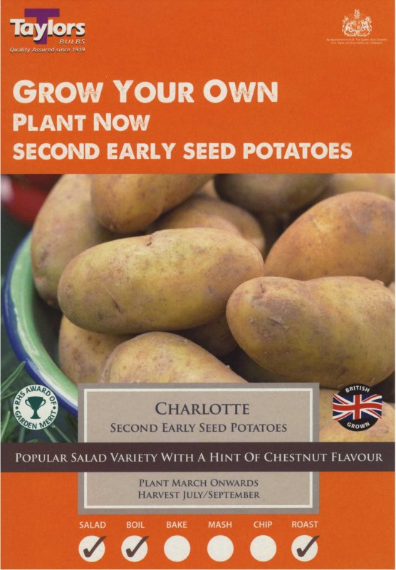 Taylors Bulbs Potato Charlotte (x10)
