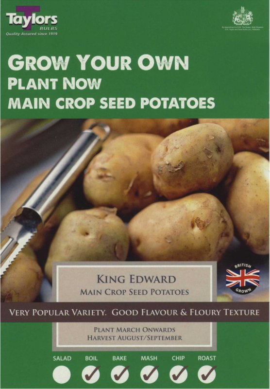 Taylors Bulbs Potato King Edward (x10)