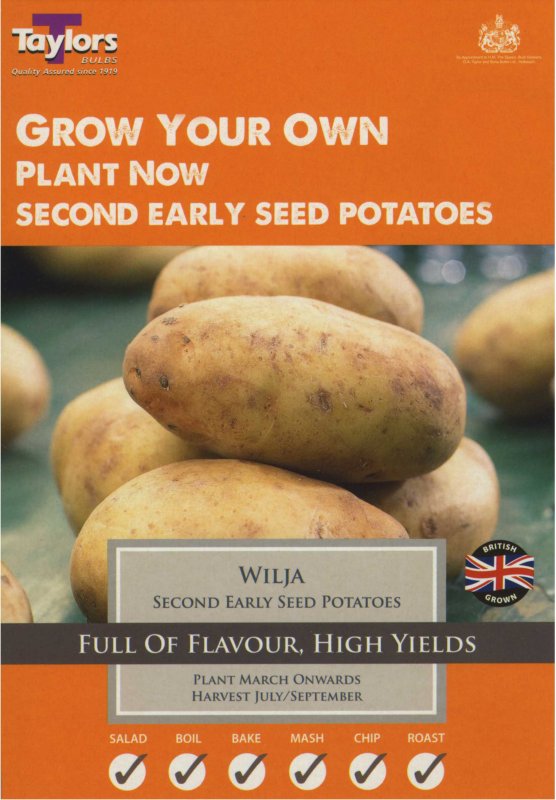 Taylors Bulbs Potato Wilja (x10)