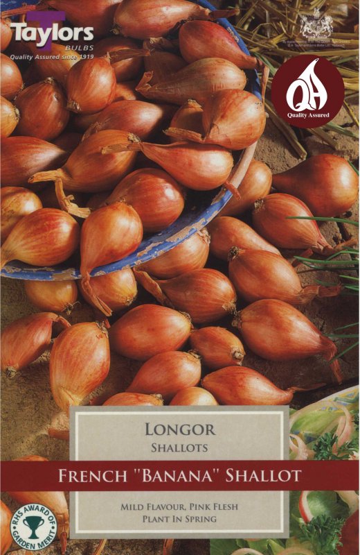 Taylors Bulbs Shallot French Longor (10 bulbs)