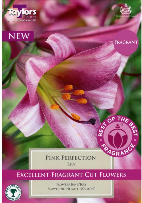 Taylors Bulbs Lilium Pink Perfection (2 bulbs)