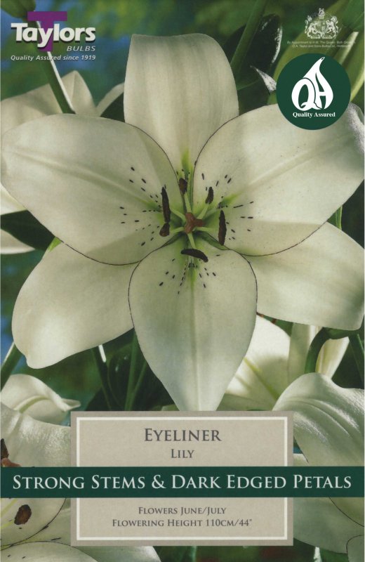 Taylors Bulbs Lilium Eyeliner (3 bulbs)