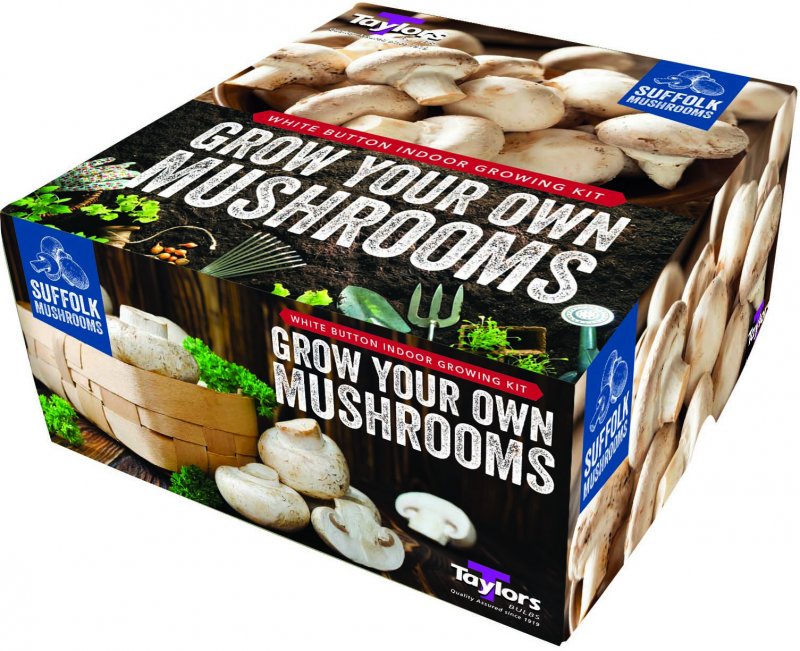 Taylors Bulbs Small Mushroom Kit