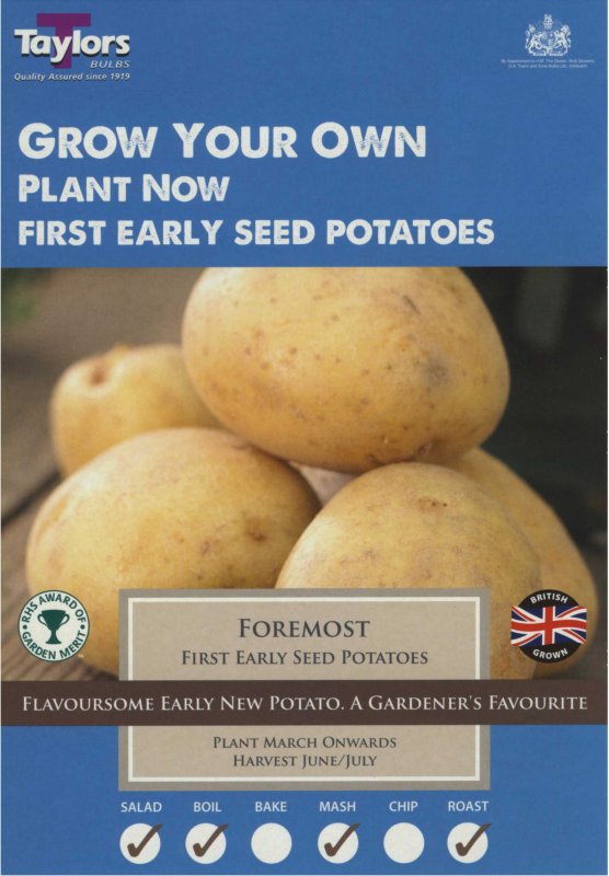 Taylors Bulbs Potato Foremost (x10)