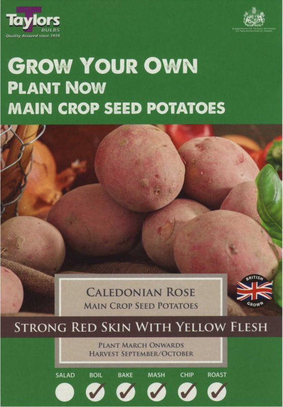 Taylors Bulbs Potato Caledonian Rose (x10)