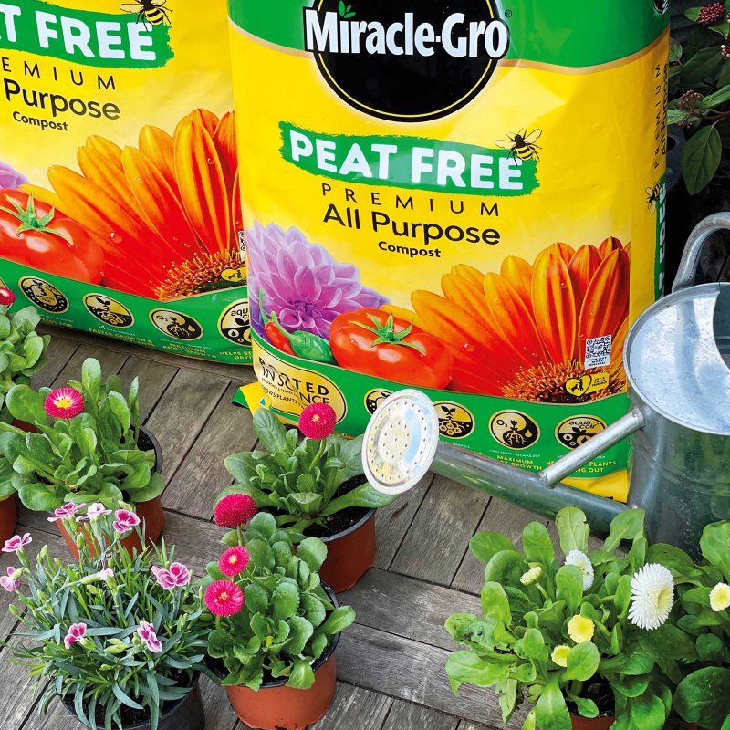 MiracleGro Peat Free Premium All Purpose Compost Kelways Plants Ltd
