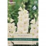 Gladiolus Paloma Blanca (10 corms)