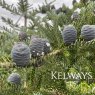 Abies koreana 'Silver Show'