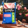 Levington Levington John Innes Ericaceous Compost