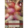 Shallot French Meloine (10 bulbs)