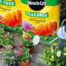 Miracle-Gro Miracle-Gro Peat Free Premium All Purpose Compost