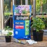 Levington Levington Peat Free John Innes No 3 Compost