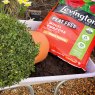 Levington Levington Peat Free Multi Purpose Compost with added John Innes