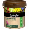 Levington Levington Growmore Multi Purpose Plant Food