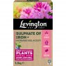 Levington Sulphate of Iron+